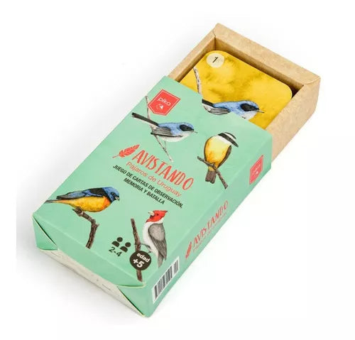 Cartas Educativas Avistando Pájaros Pika