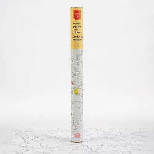 Lámina gigante para colorear pájaros del Uruguay Pika