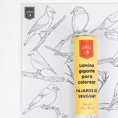 Lámina gigante para colorear pájaros del Uruguay Pika
