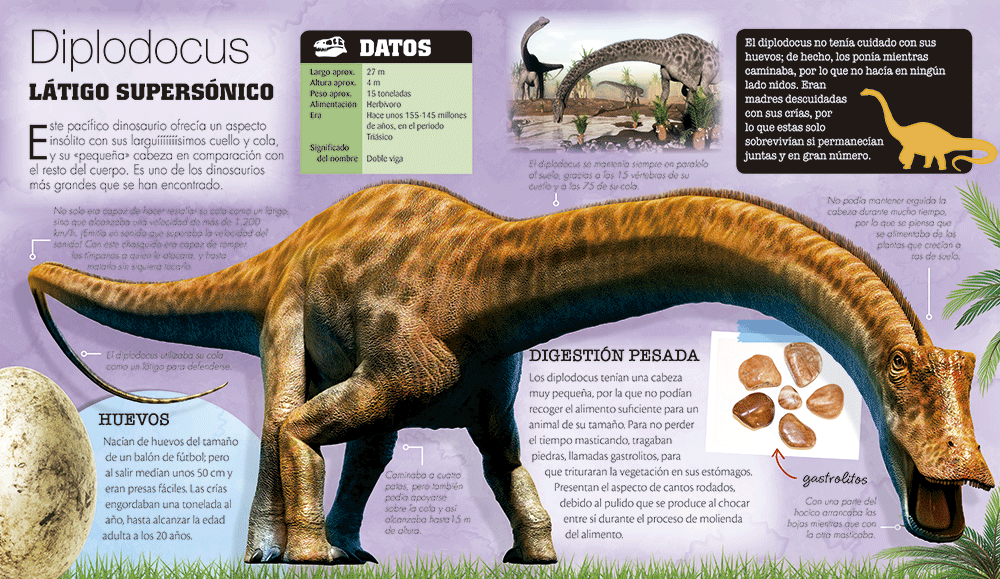 Dinosaurios Pop-Up 3D