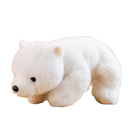 Oso Dormilón 35 cms