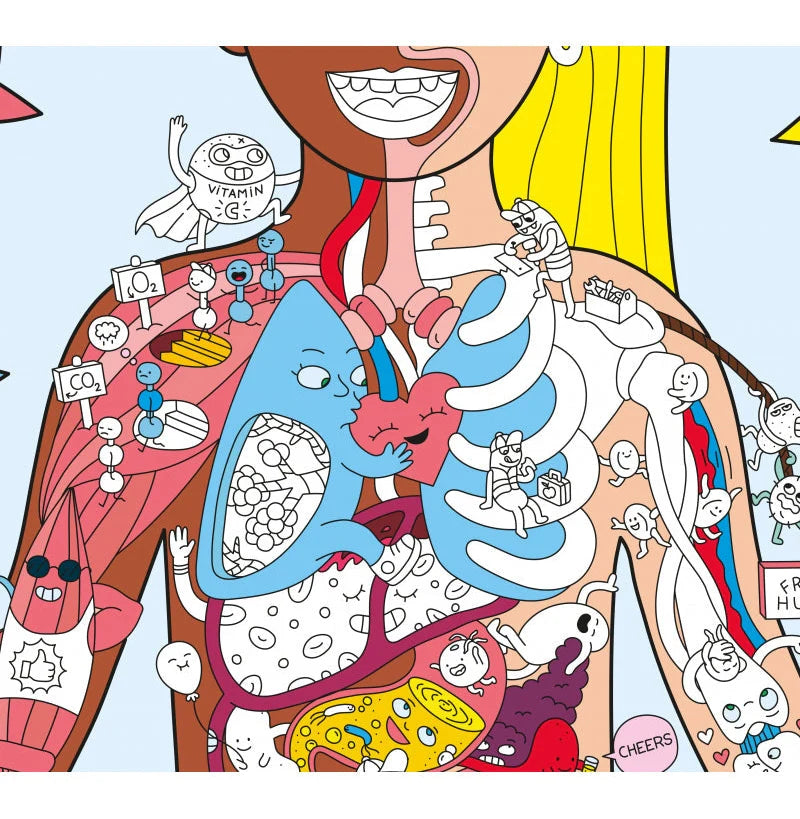 Poster gigante Mi cuerpo + 100 pegatinas Omy